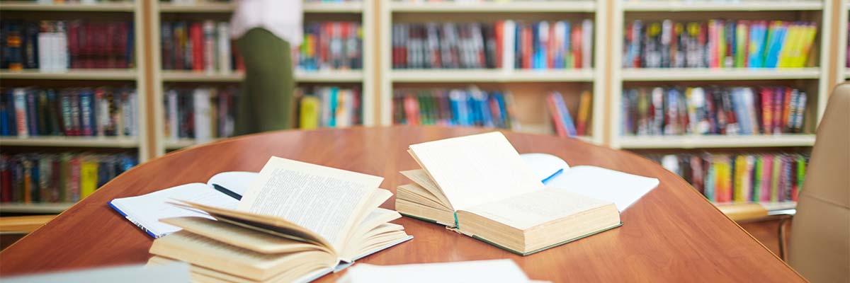 Alabama Placement Summer Institute Link