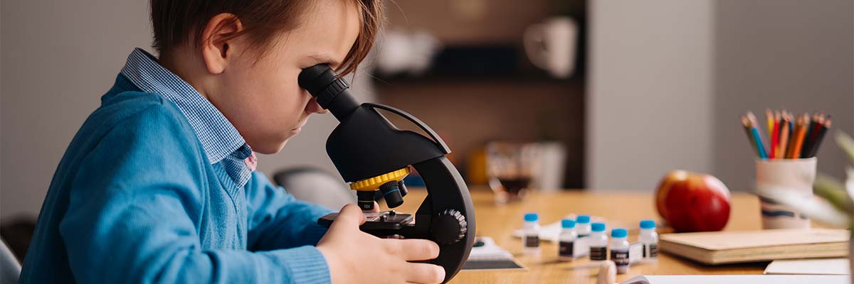 Children's Trust Fund Link